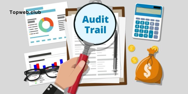 Detailed Audit Trails for Accountability