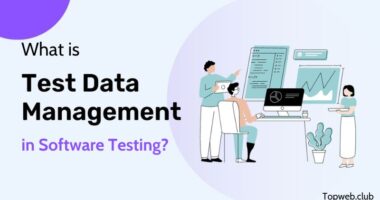 What is Test Data Management in Software Testing?